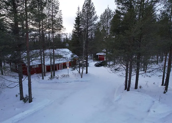 Kiviaapa In Kuusamo *